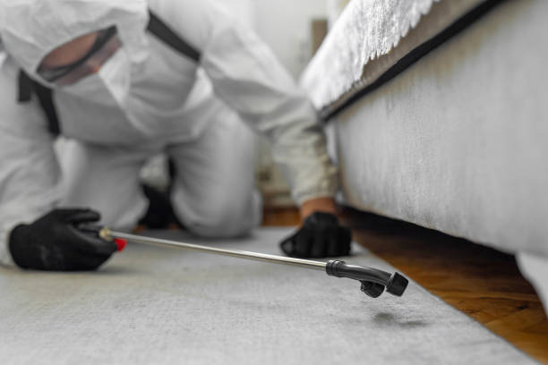 Professional Emergency Pest Control technician working in Lake Lakengren, OH