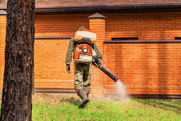 Trusted Emergency Pest Control service in Lake Lakengren, OH - Nex Pest Control